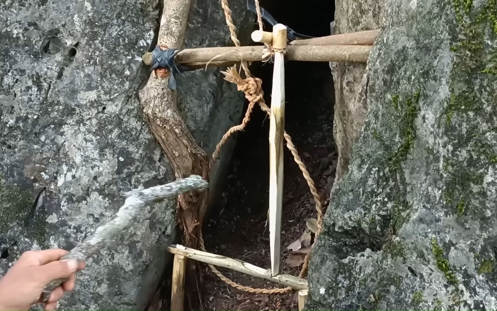 冰火交锋！北极之熊目送森林猎人离场的简单介绍